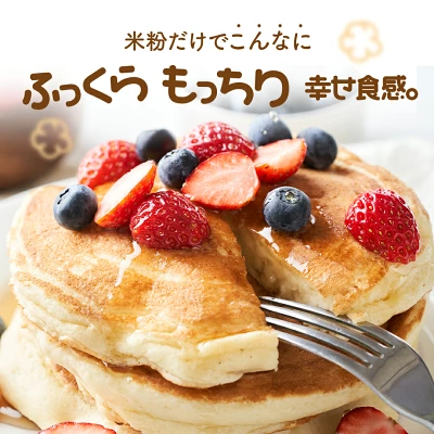 D’sTs こめ粉パンケーキミックス 100gの商品画像