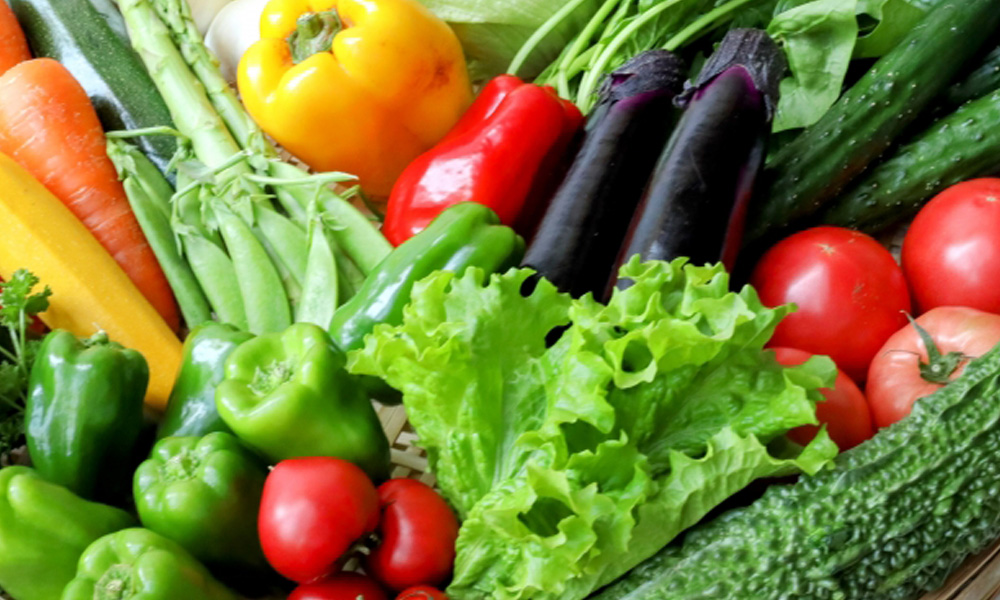 色とりどりの野菜が大量に並んでいるイメージ