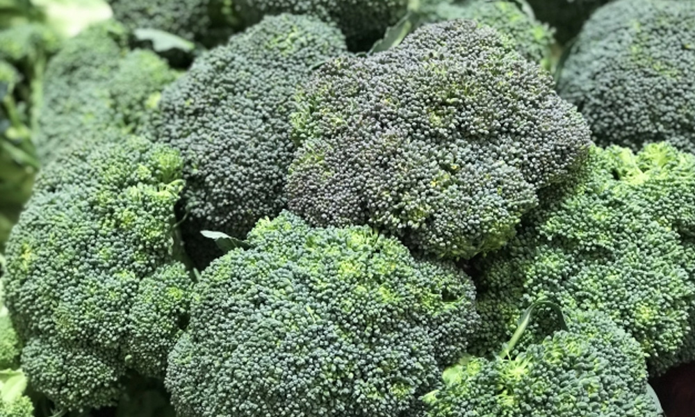 ブロッコリーが大量に並んでいるイメージ