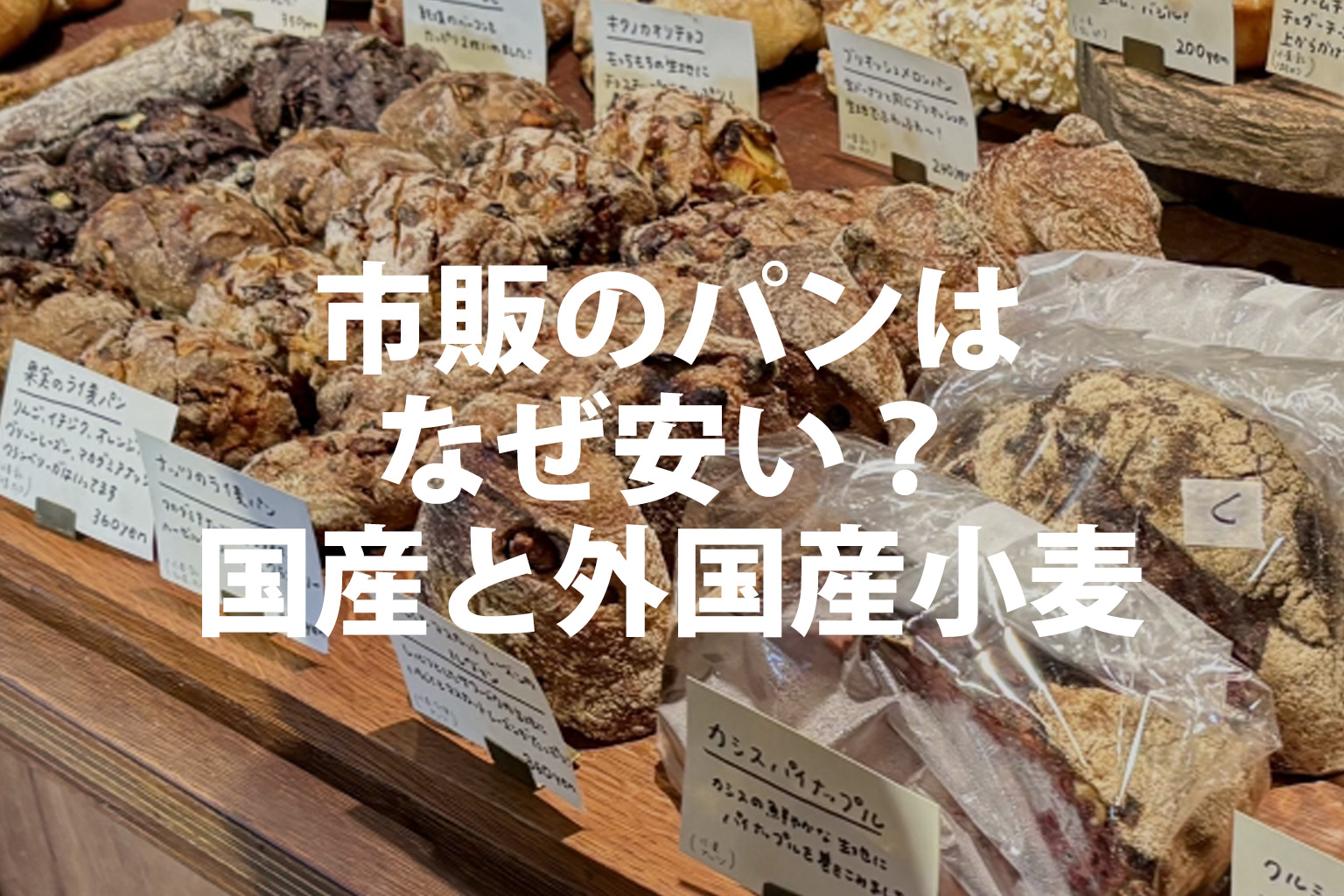 市販のパンはなぜ安い？国産小麦と外国産小麦の違い