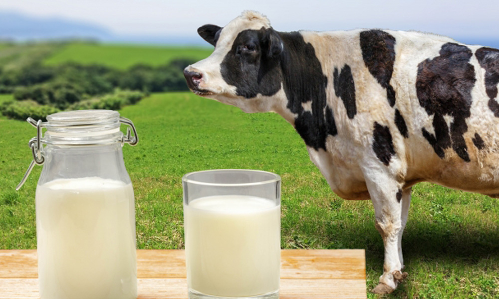 牛乳と牧場を背景に牛が立っているイメージ