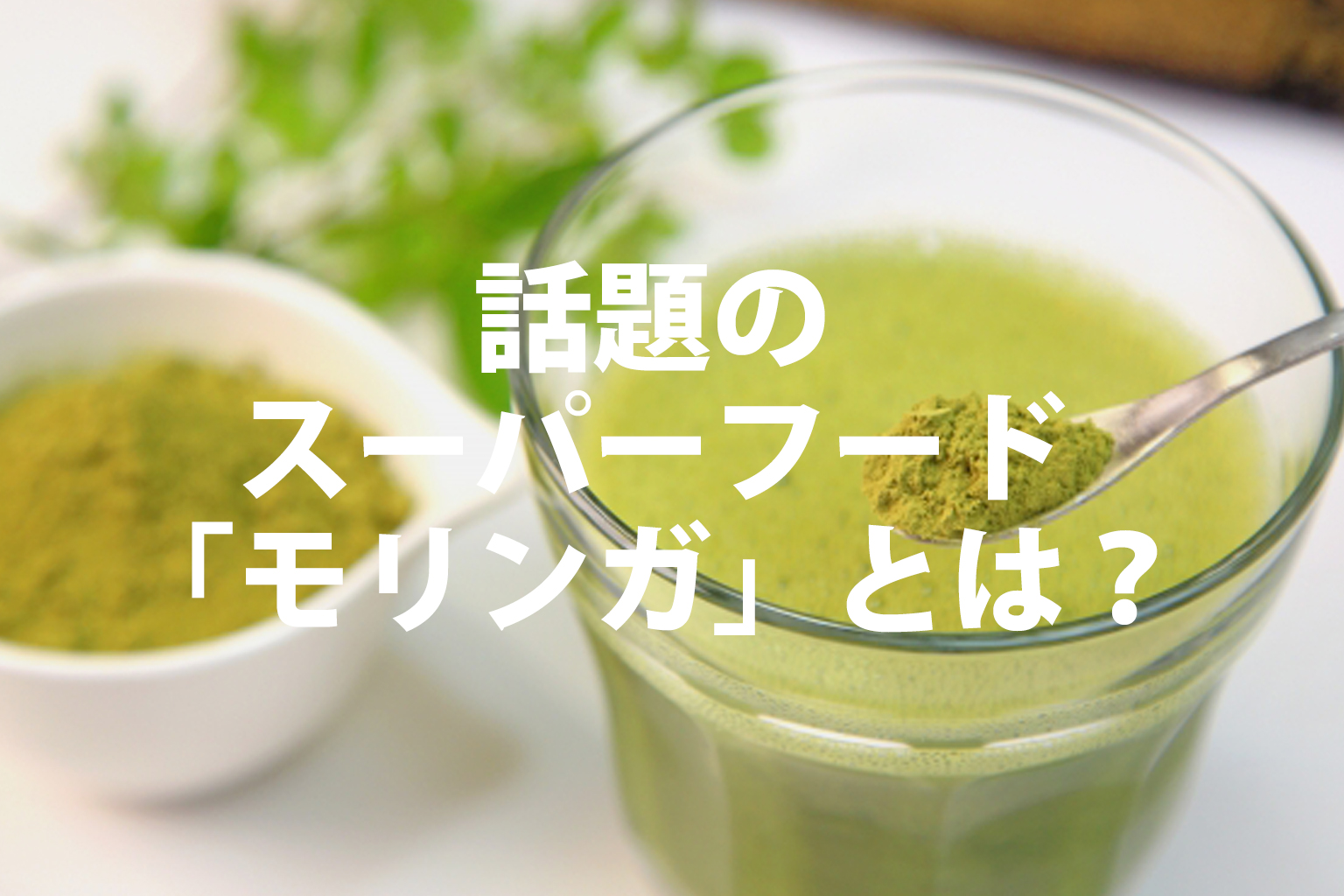 話題のスーパーフード、モリンガとは何？