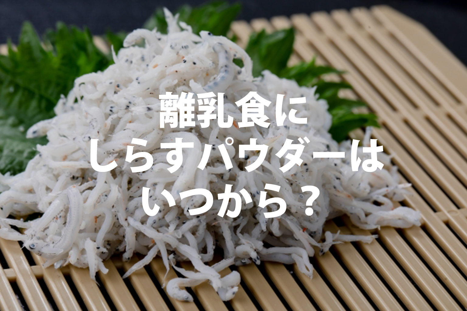 離乳食にしらすパウダーはいつから？