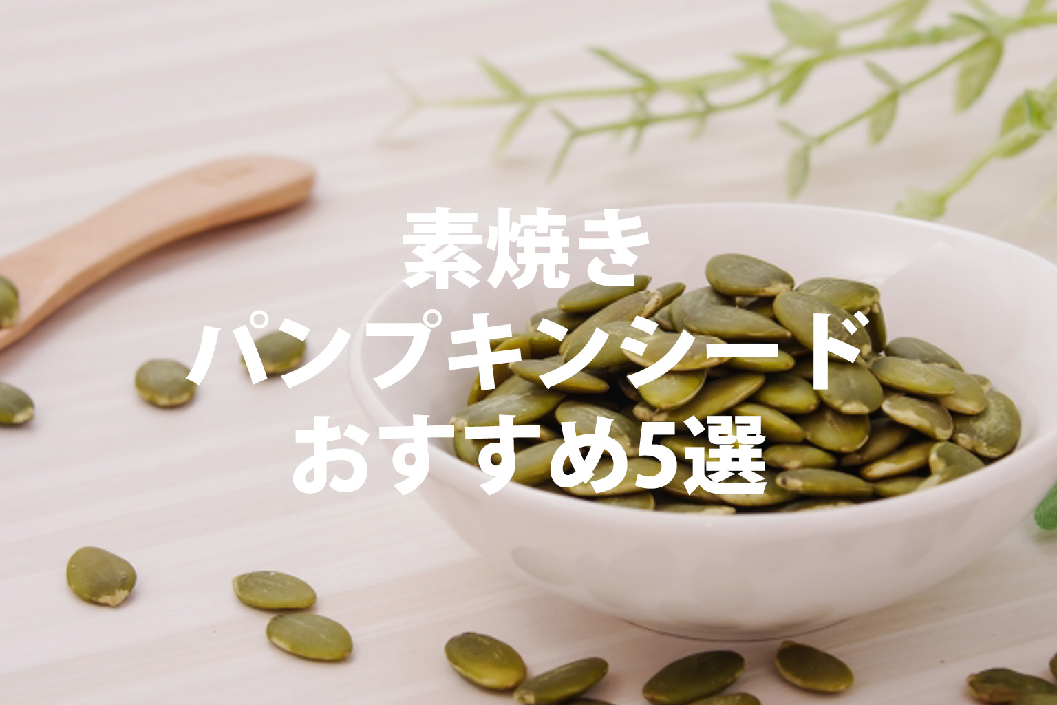 素焼きパンプキンシード（かぼちゃの種）おすすめ5選