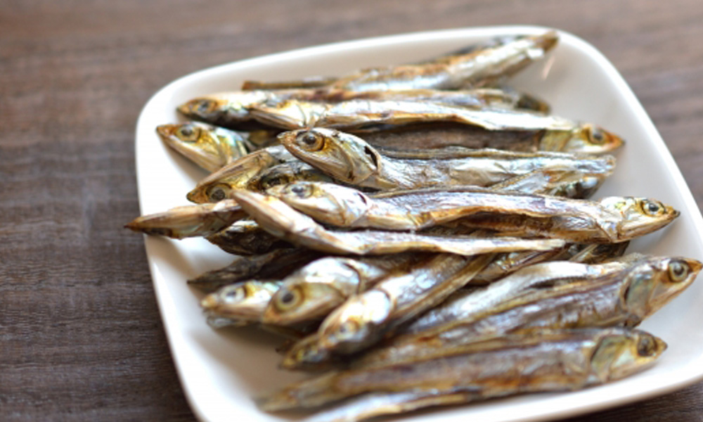おいしそうな煮干し和小皿のイメージ